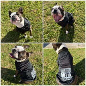 Straight Outta Boston Jacket