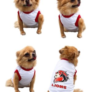 Lions – Pet Rugby Edition 🦁