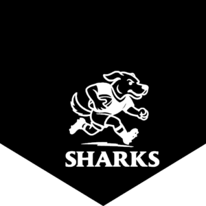 Sharks Bandanna – Fierce & Fun Pet Style