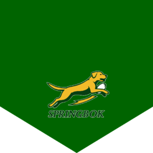 Springbok Bandanna – Proudly Stylish for Your Pet