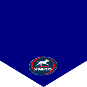 Stompers Bandanna – Fun & Adventurous Pet Style